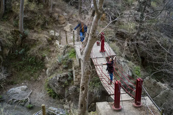 Ormanda yürüyen bir insanın dikey görüntüsü.