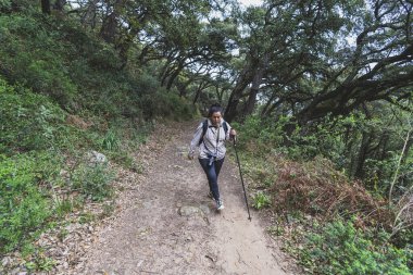 Sırt çantalı genç adam ormanda yürüyüş yapıyor.