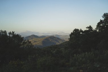 Dağları ve ormanı olan güzel bir manzara.