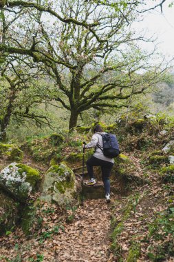 Genç adam ormanda yürüyüş yapıyor..