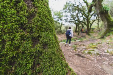 Genç bir kız ormanda yürüyor..