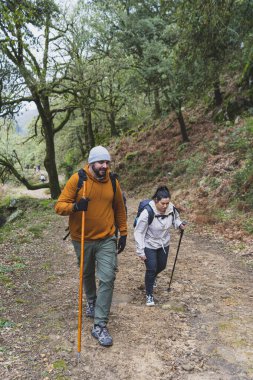 Ormanda sırt çantalı genç bir çift.