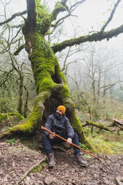 Genç orman uzun yürüyüşe çıkan kimse