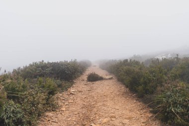 Dağların güzel manzarası