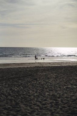 Gün doğarken sahilde çekilmiş dikey bir fotoğraf.