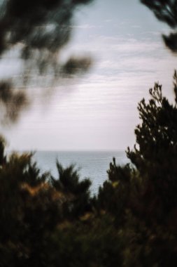 Güzel deniz manzarası. doğa arkaplanı