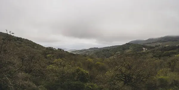 Güzel dağ manzarası. Doğal arkaplan