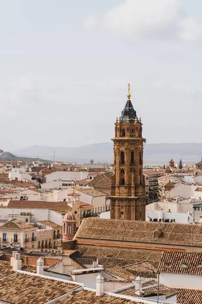 Mallorca 'daki Santa Maria de la Palma Katedrali' nin manzarası.