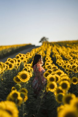 Sabah ayçiçeği tarlasında Asyalı bir kadın.