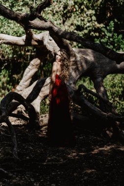 Ağaçların yanındaki ormanda poz veren kırmızı elbiseli kadın. yüksek kaliteli fotoğraf