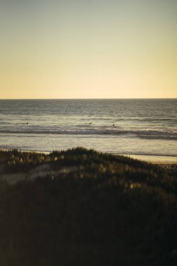 Denizde sahilin dikey görüntüsü.