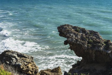 Okyanus kıyısında kaya