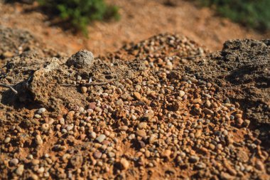 Kuru bir zemine yakın