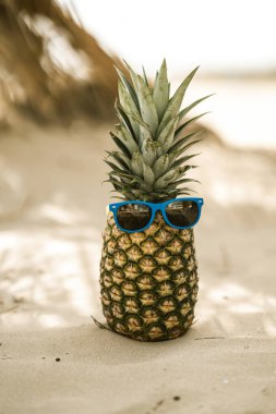 Sahilde ananas ve güneş gözlüğü.