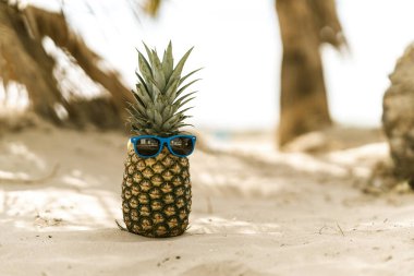 Sahilde ananas ve güneş gözlüğü. yaz tatili konsepti