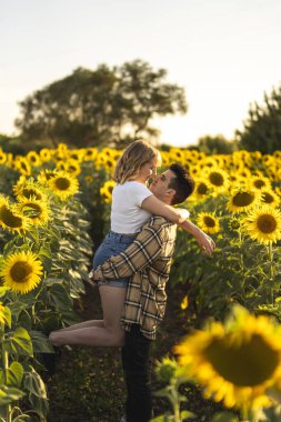 Mutlu çift, ayçiçeği tarlasında sarılıp kucaklaşıyor.