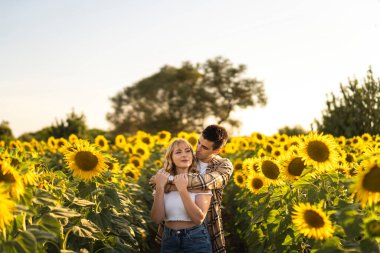Mutlu genç çift, ayçiçeği tarlasında yürürken sarılıp gülümsüyor.
