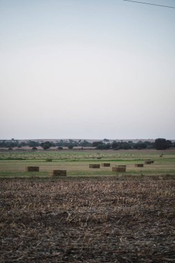 Arjantin 'de tarlaları olan kırsal bölge