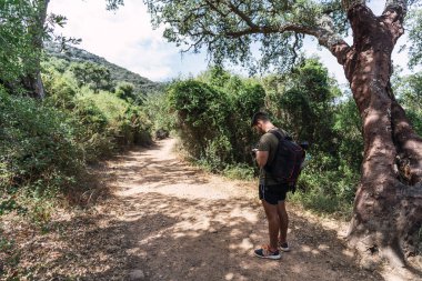 Çam ormanında yürüyen bir yürüyüşçü.