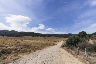 Dağların ortasındaki yol.