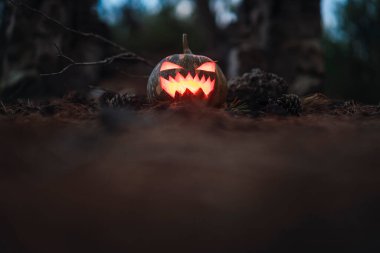 Cadılar Bayramı arkaplanı. Karanlık arka planda balkabağı. Cadılar Bayramı konsepti. Boşluğu kopyala.