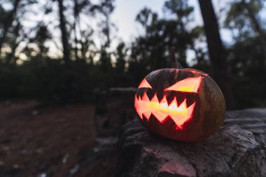 balkabağı siyah arkaplanda