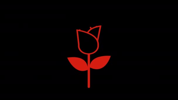 Animowane Walentynki Ikona Róży Zaprojektowane Płaskim Stylu Ikony Walentynki Ikona — Wideo stockowe