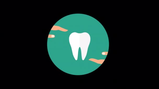 Animated Dental Insurance Icons Designed Flat Icon Style Insurance Concept — Stock Video