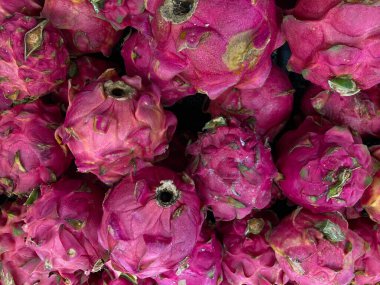 Close up of Red dragon fruits stacked on a shelf at the market.