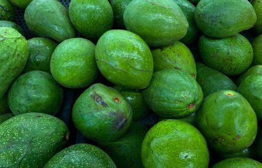 Taze avokadoyla arka plan, yakın plan, seçici odaklanma