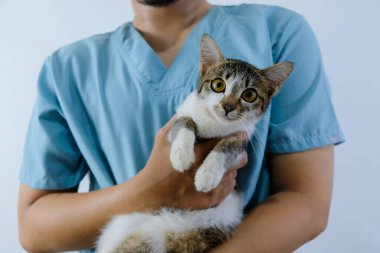 Yakışıklı erkek veteriner doktorun beyaz arka planda veteriner kliniğinde kucağında sevimli bir kedi yavrusu resmi.