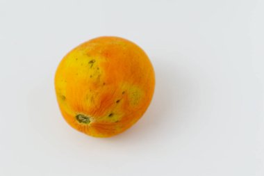 Beyaz arka planda neredeyse çürümüş domates.