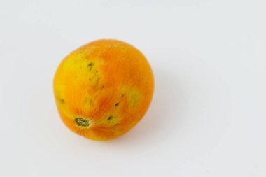 Beyaz arka planda neredeyse çürümüş domates.