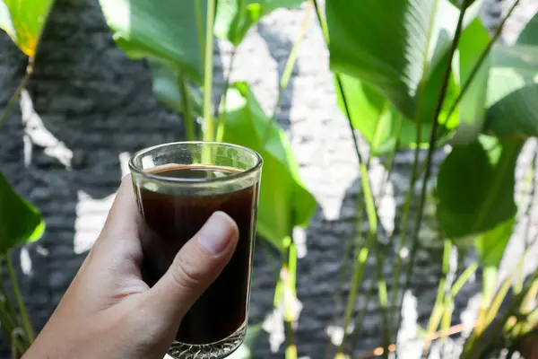 hand holding a glass of coffee with green plants in the background