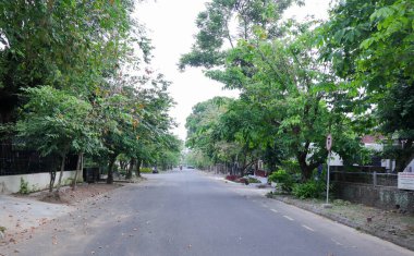 Sağında ve solunda bir sürü ağaç olan yol.