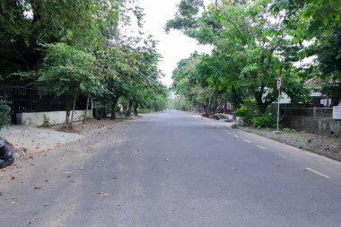 Sağında ve solunda bir sürü ağaç olan yol.