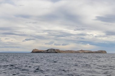 Magdalena Adası 'nın doğal koruma alanında 40.000 vahşi penguenden oluşan bir koloni yaşıyor.