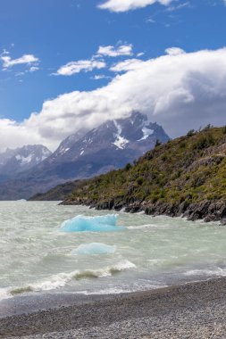 Şili Patagonya 'daki Torres del Paine Ulusal Parkı yakınlarındaki Pasifik Okyanusu' ndaki bir buzulda dinleniyor.