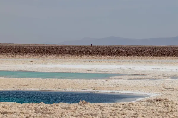 Laguna Salada Baltinache Medio Atacama Chile Desierto Más Seco Del — Foto de Stock