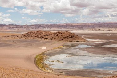 Quepiaco Nehri 'nin bataklığı Atacama Çölü' nün ortasında Bolivya ile Şili sınırında.