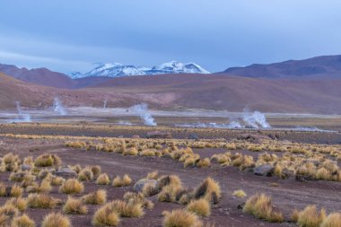 Şili 'nin Bolivya sınırında Atacama Çölü' nün volkanik bölgesinde karlı dağlarla çevrili El Tatio Gayzerlerinin dumanı