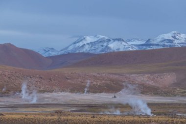 Şili 'nin Bolivya sınırında Atacama Çölü' nün volkanik bölgesinde karlı dağlarla çevrili El Tatio Gayzerlerinin dumanı