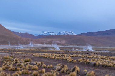 Şili 'nin Bolivya sınırında Atacama Çölü' nün volkanik bölgesinde karlı dağlarla çevrili El Tatio Gayzerlerinin dumanı