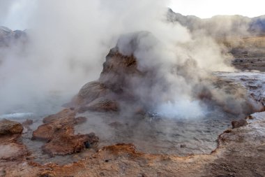 Şili sınırındaki Atacama Çölü volkanik bölgesinde Bolivya ile birlikte El Tatio Gayzerleri 'nde su ve duman kaynıyor.