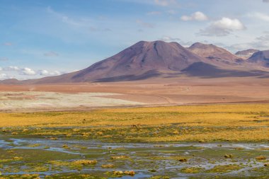 Dünyanın en kurak çölü olan Şili 'nin Atakama şehrindeki bir sulak arazinin renkli manzarası.