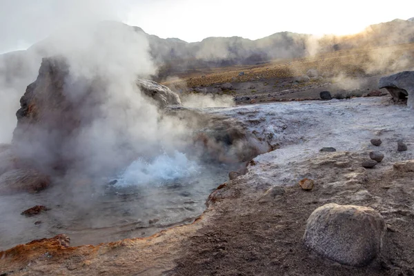 Şili sınırındaki Atacama Çölü volkanik bölgesinde Bolivya ile birlikte El Tatio Gayzerleri 'nde su ve duman kaynıyor.