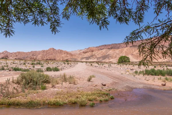 River breaking the arid landscape near Catarpe valley, the dryest part of Atacama, the most arid desert of the world