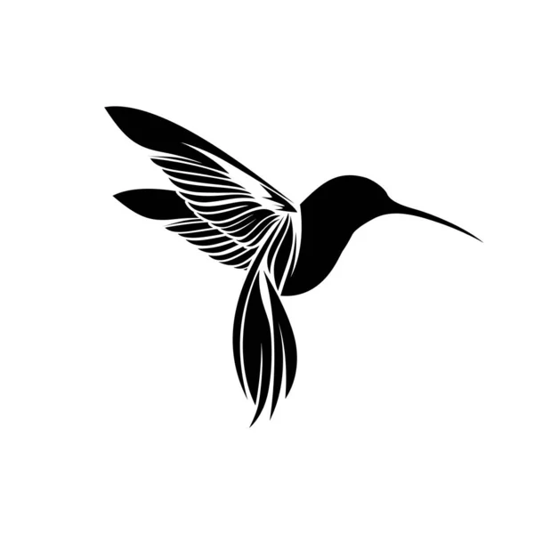 Konsep Simbol Colibri Hummingbird Sederhana Stok Vektor