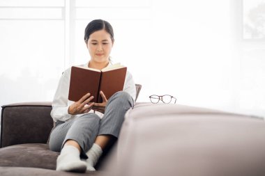 Gri rahat kanepe ve güzel bir Asyalı kadın, kitap okuyor, ev ve konfor kavramları, metin kopyalama yeri.