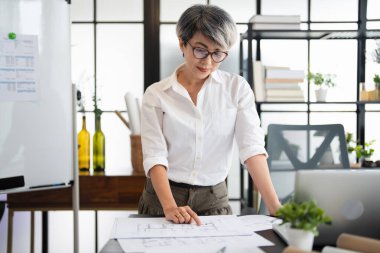 Ofisinde çalışan orta yaşlı bir kadın tasarımcı, uzmanlık ve yaratıcılık konusunda kendine güvenen bir çalışan. Neşeli kadın 50 'lerin iç dizayn uzmanı bilgisayar kullanıyor, kopyalama alanı kullanıyor.